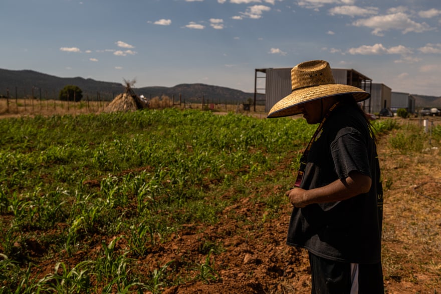 A person wearing a woven sun hat watches the crops on the farm.