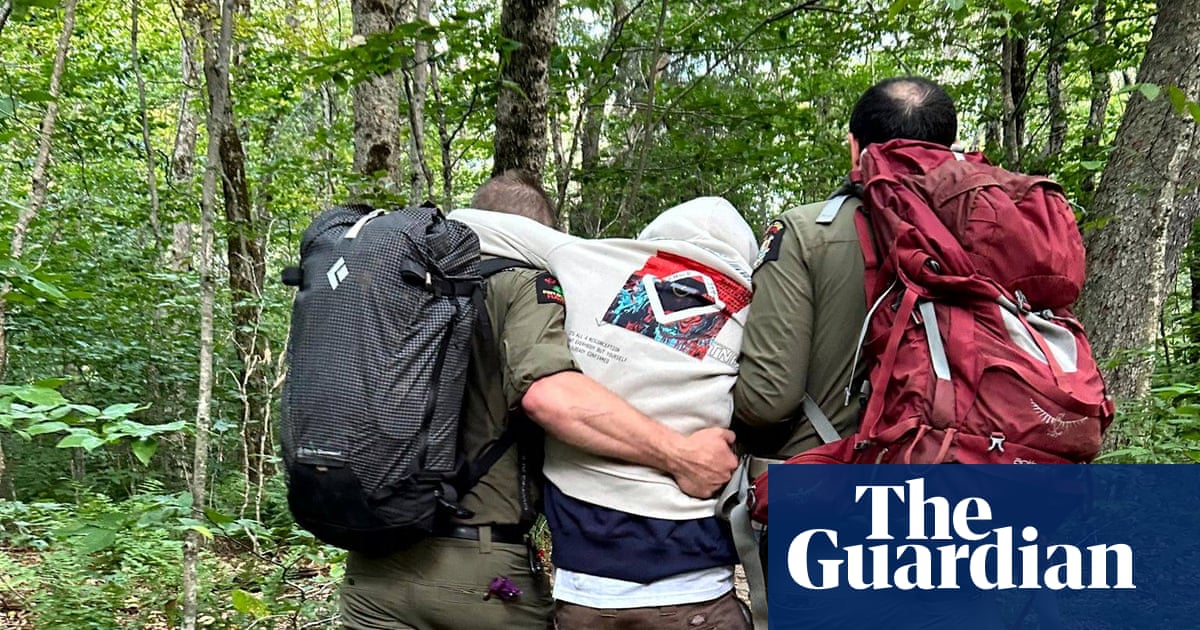 Four hikers on magic mushrooms, one with ‘debilitating high’, rescued in New York