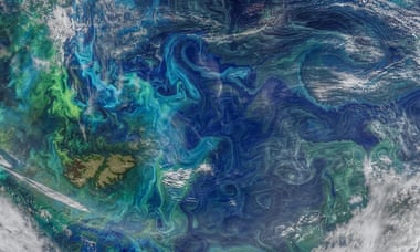A Nasa image of the eddies and small currents just below the ocean’s surface, showing the swirling pattern of phytoplankton blooms in the southern Atlantic Ocean.