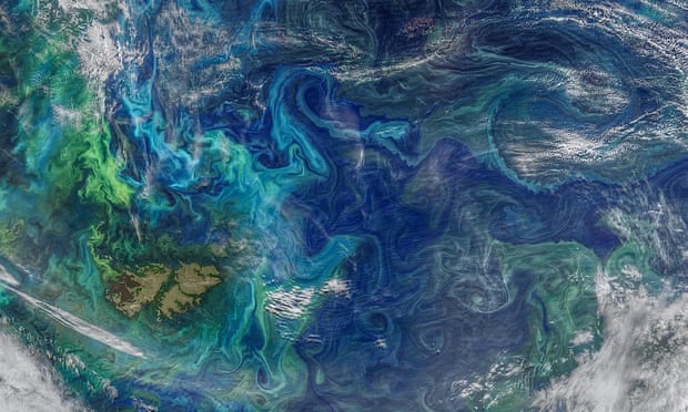 An image of eddies in the southern Atlantic Ocean taken by Nasa that shows phytoplankton blooms (in green and light blue).