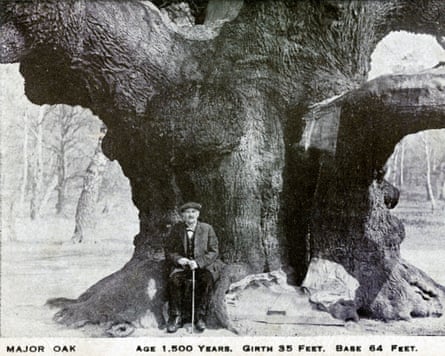 A black-and-white photo of a man sitting at the base of a huge tree