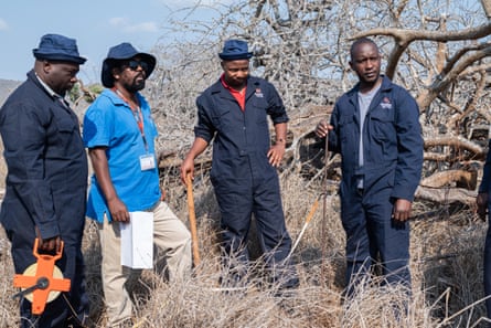 Four men standing in an area examing the land and trees