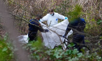 Police and forensic officers working among bushes and undergrowth