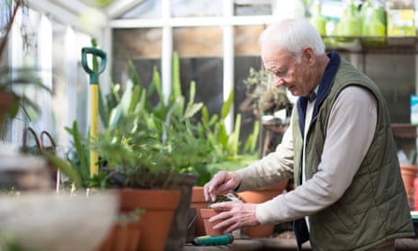 Senior man working in a greenhouseSenior man, aged 78, gardening in a greenhouse