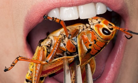 An open mouth with a grasshopper being put into it