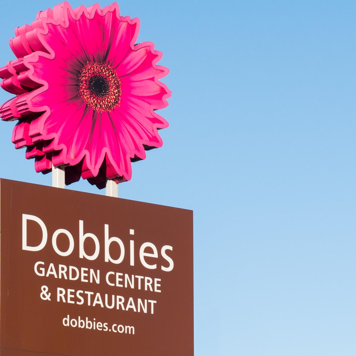 i couldn t use my wyevale garden centre gift card after dobbies took it over money the guardian