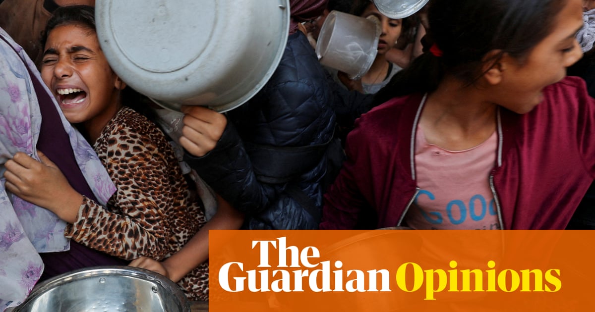If aid doesn't enter Gaza now, 14,000 babies may die. UN peacekeepers must step in | Michael Fakhri