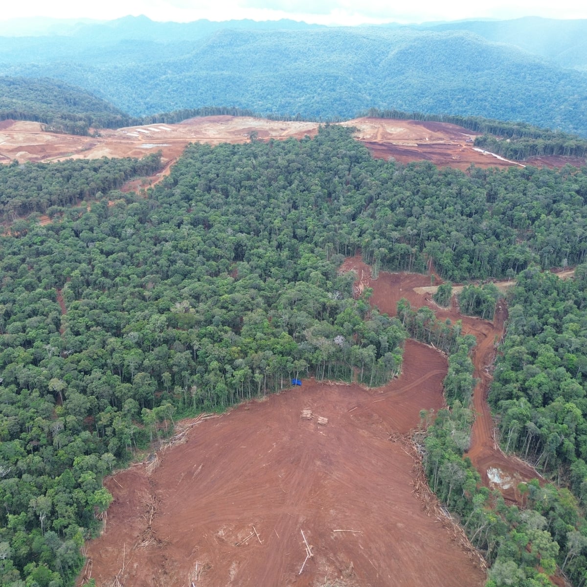 Revealed: VW, Ford and Tesla batteries linked to destructive deforestation of indigenous lands