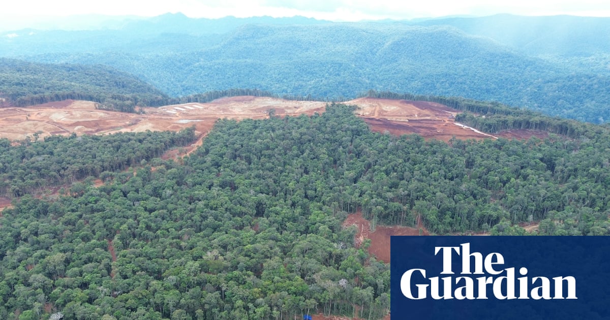 VW, Ford and Tesla batteries linked to destructive deforestation of indigenous lands