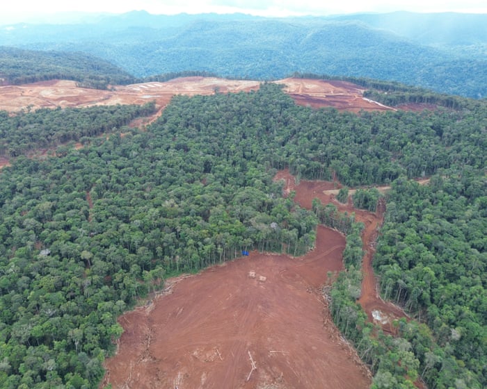 Revealed: VW, Ford and Tesla batteries linked to destructive deforestation of indigenous lands