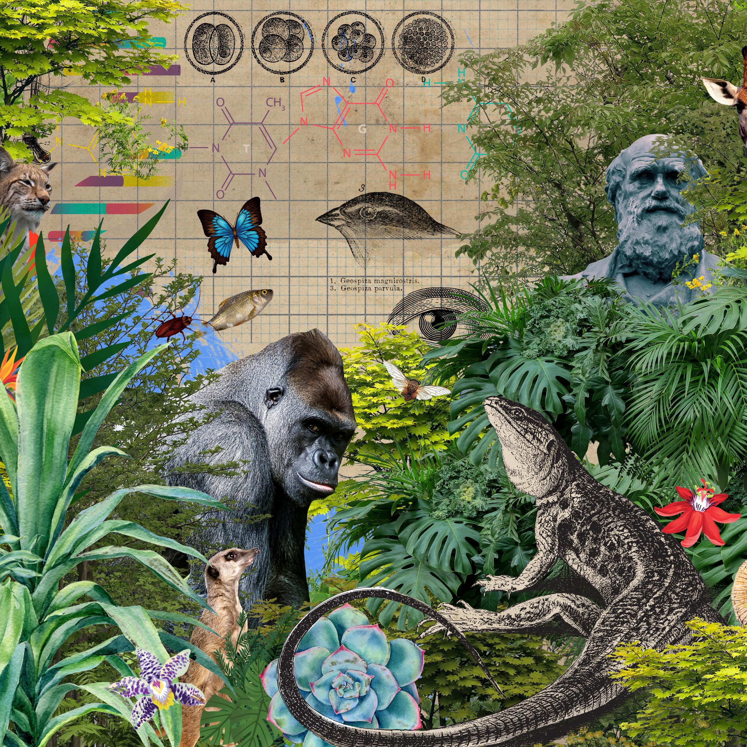 From the archive: Do we need a new theory of evolution? From the archive: Do we need a new theory of evolution?