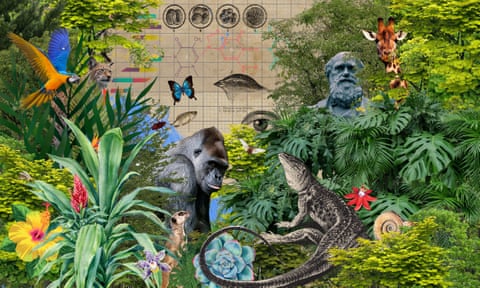 illustration: cornucopia of natural life including plants and animals in a forest-like scene, plus some scientific drawings and charles darwin