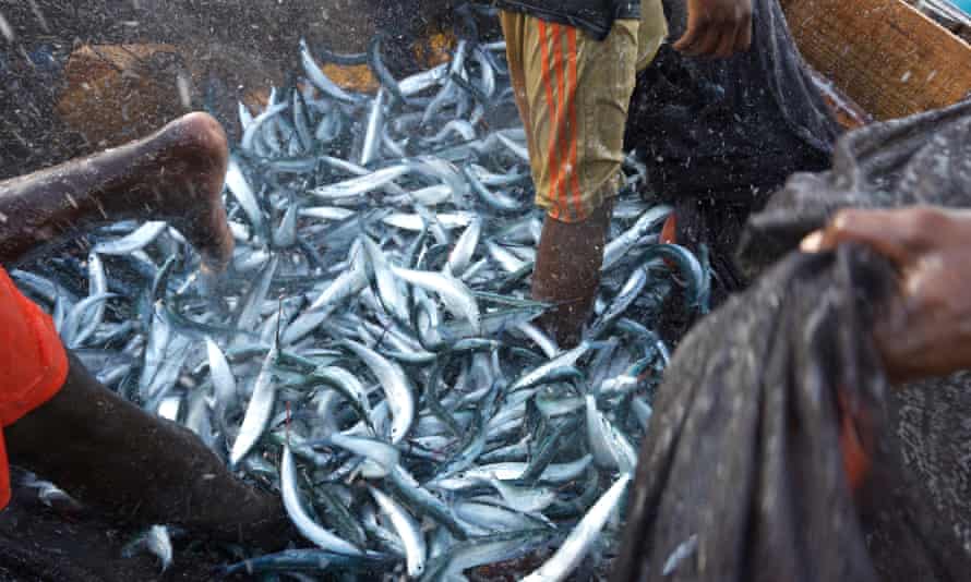 Tanzania has some of the world’s richest fishing grounds but stocks are being depleted.