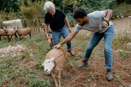 Two people rope a sheep
