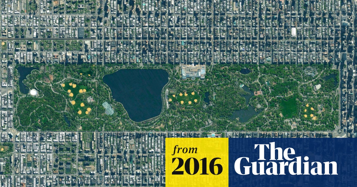 Interactive project maps all 600,000 trees in New York City's urban forest