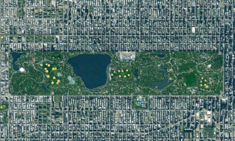 Central Park stands out in green at the heart of Manhattan but 600,000 trees are to be found spread across all five of New York’s five boroughs.