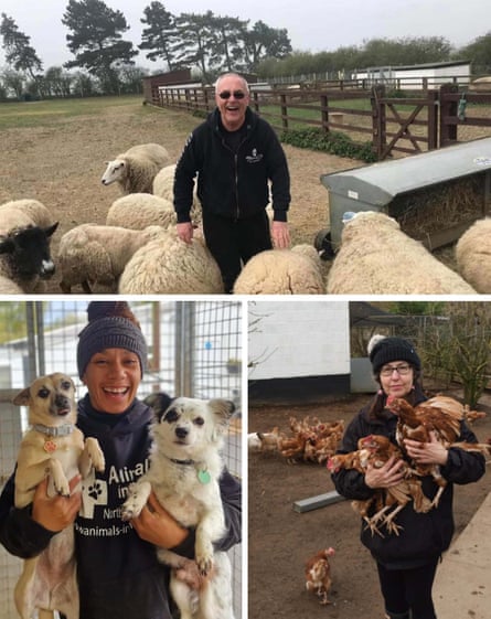 Animals in need -drop-in: Top - Roy founder and trustee; bottom left: kennel manager Kate; bottom right: Ali, kennel hand with ex battery hen and rescue chickens.