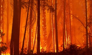 California wild fire near Yosemite national park.