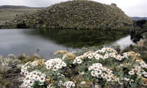 The Sumapaz paramo in Colombia - one of numerous paramos declared off-limits to oil, gas and mining operations by the country's Constitutional Court.