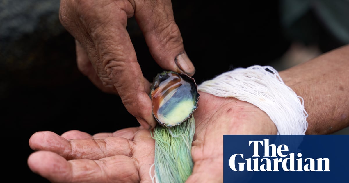 ‘We sometimes milked 3,000 snails a day!’: the dying art of milking molluscs