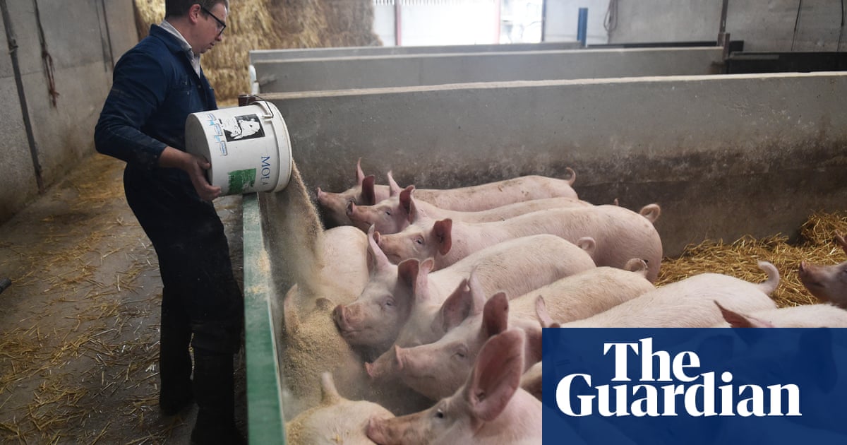 UK farmers call for urgent action to prevent soaring food prices