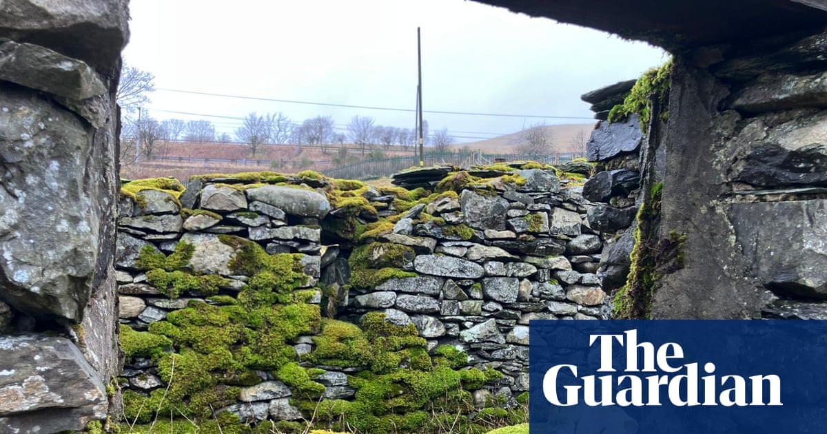 Country diary: Taking the long view of the farm and these fells | Andrea Meanwell