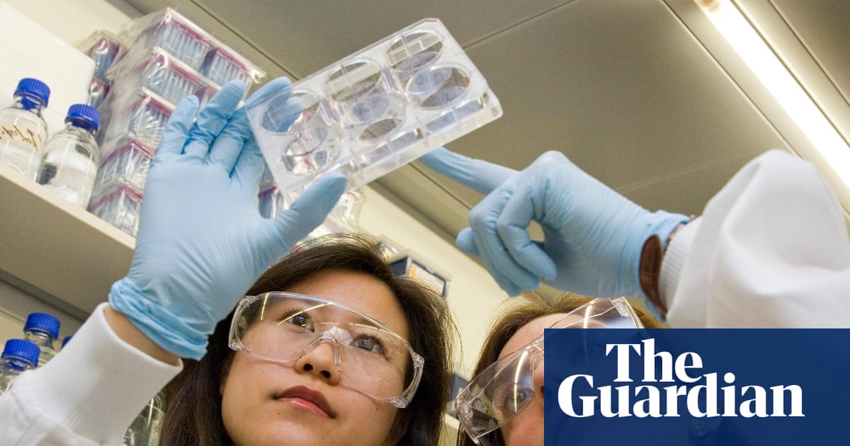 ‘Patients will suffer’: tales from the frontline of the UK pharma crisis