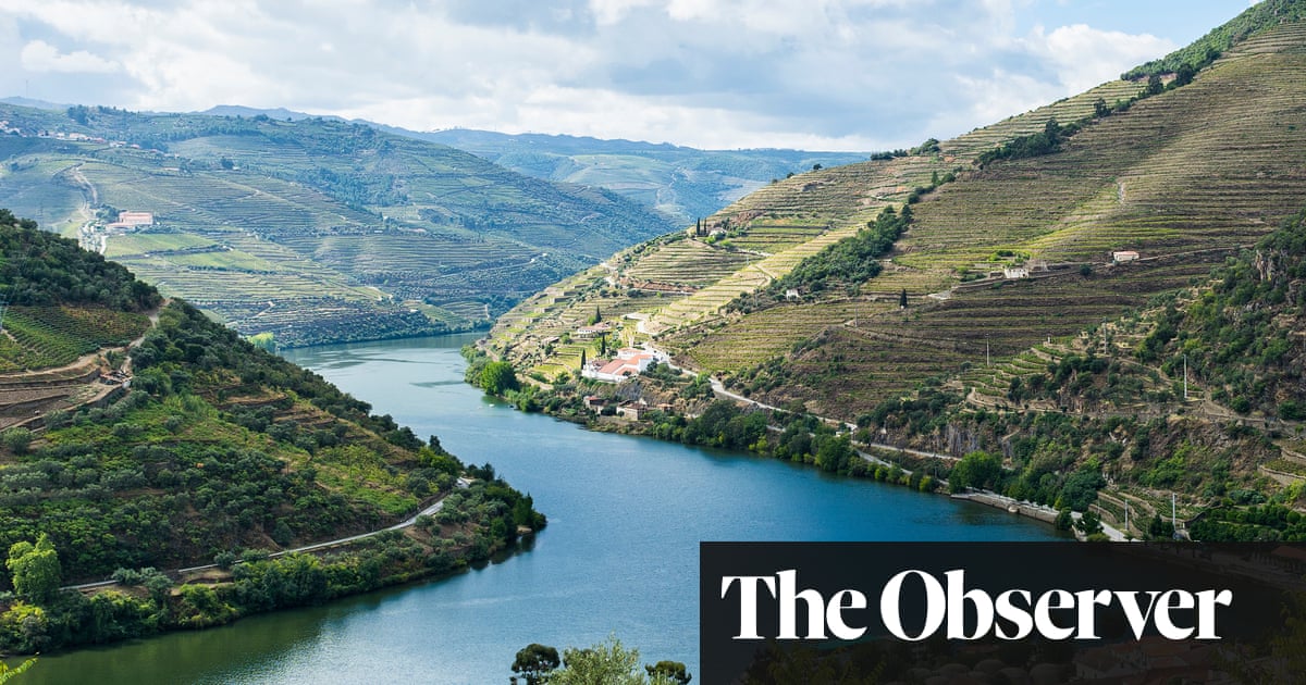 Portuguese wines to lift the spirits