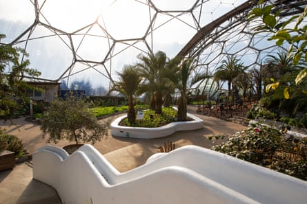 Mediterranean plants under the roof of the dome