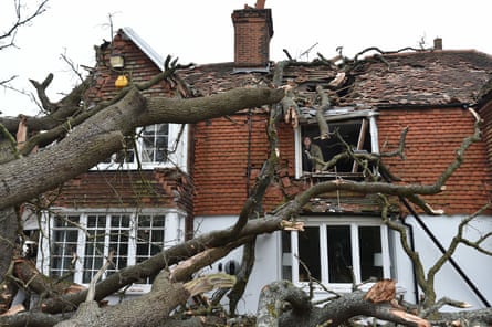 A man looks out from his bedroom window at the damage caused to the family home after a oak tree in the garden was uprooted by Storm Eunice