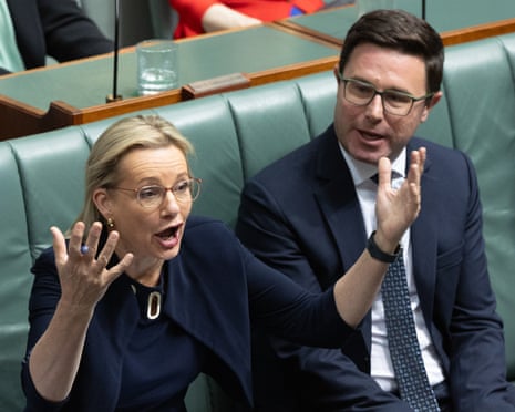 Sussan Ley knew she faced a challenge. Then the Nationals went nuclear | Coalition | The Guardian