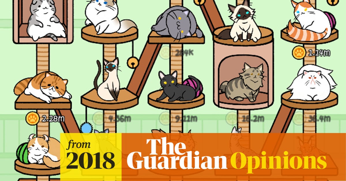 cat condo is the stupidest most