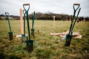 Shovels and other digging equipment in a grass field