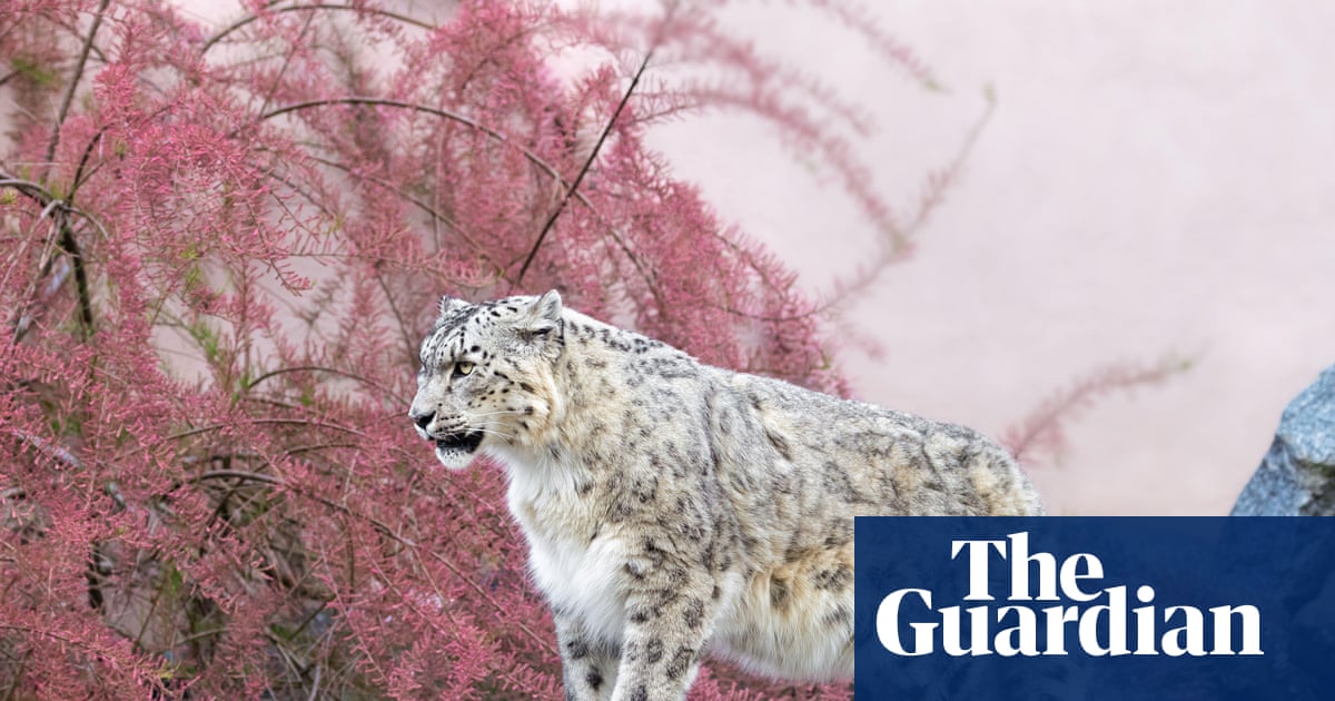 The Ghost of the Mountains by Kulbhushansingh Suryawanshi review