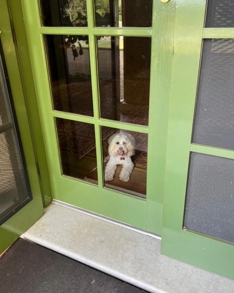 A photo of Toto at the prime minister’s residence in Canberra