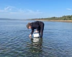 Eelgrass Seed Search Aims to Restore Underwater Meadows