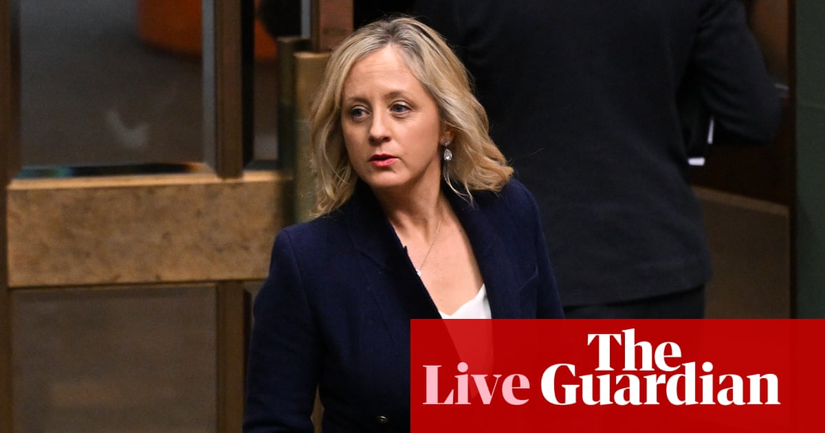Australia politics live: McIntosh doubles down on call for Liberal ‘rebrand’; PM backs Hogan on Hanson
