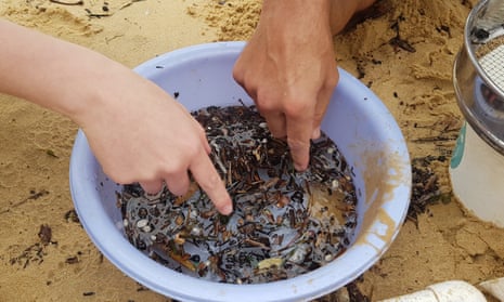 Microplastics and organic matter float in water inside a container at Manly Cove Beach in Sydney, Australia.
