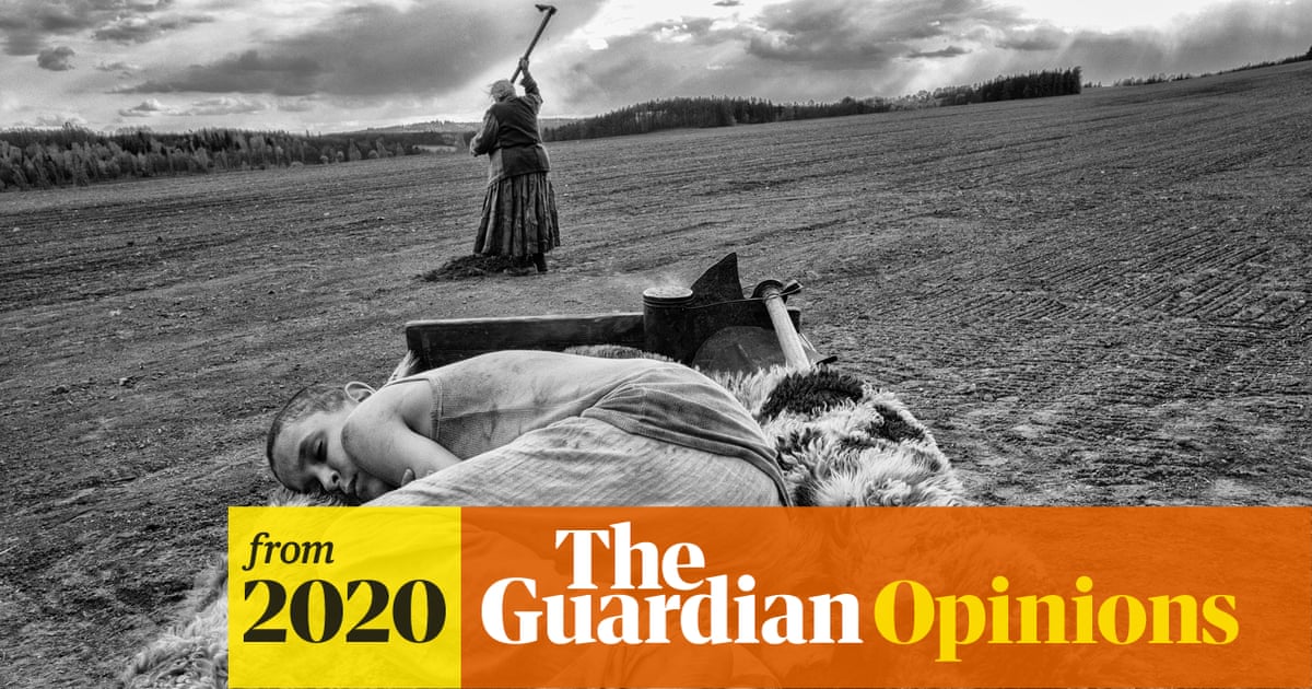 Where Can You Watch the Painted Bird: Top Streaming Sites Revealed