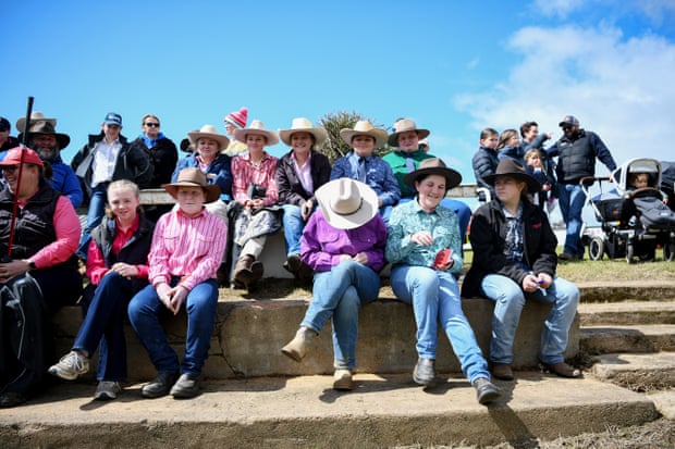 Showgoers watch cattle being judged in Young.