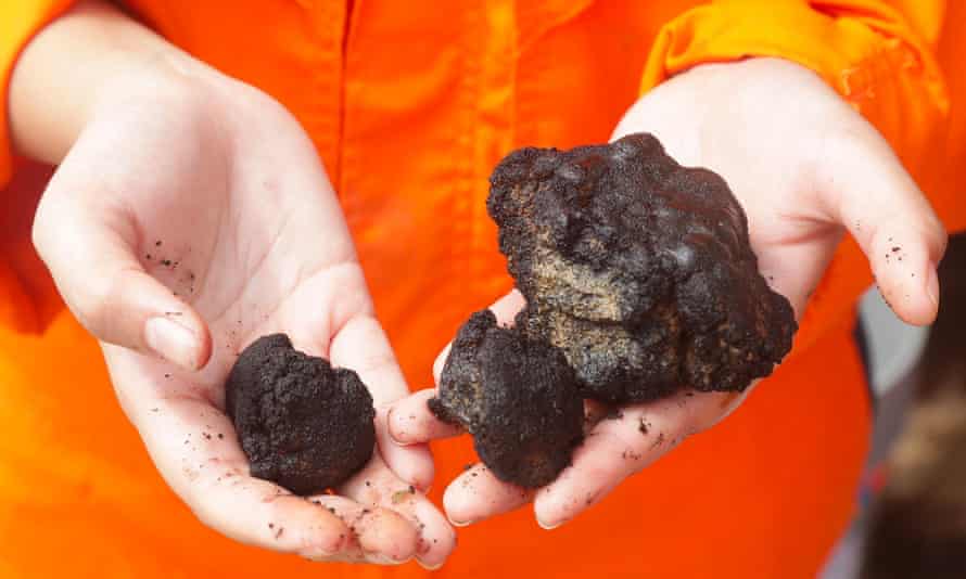 Polymetallic nodules recovered for research.