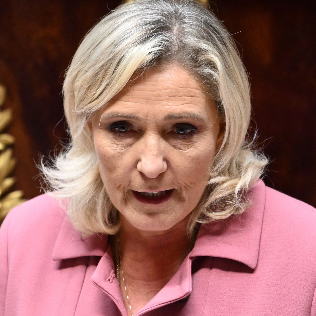 Marine Le Pen to defy Macron's request not to attend event for WW2 resistance hero | Marine Le Pen | The Guardian