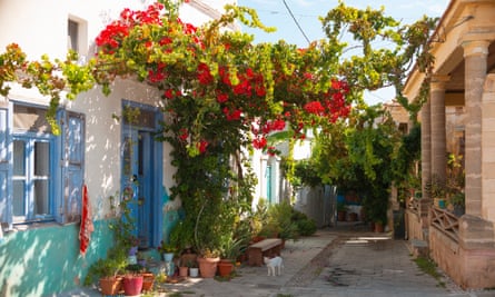 ตรอกเล็กๆ ที่มีบ้านแบบดั้งเดิมใน Koskinou Rhodes ประเทศกรีซ มีพื้นที่ในร่มและแมวบนถนน