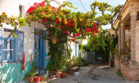 Une petite ruelle avec des logements traditionnels à Koskinou Rhodes Grèce, avec une zone ombragée et un chat dans la rue