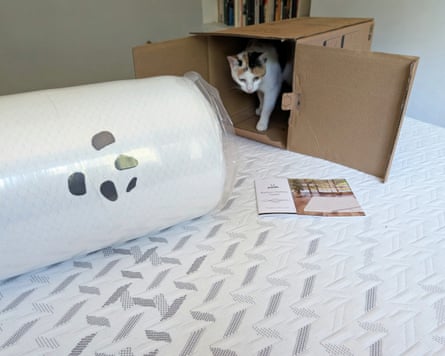 A cat explores the cardboard box that the Panda Bamboo mattress topper was delivered in, while the rolled up mattress topper lies on top of a bed.