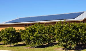 Solar panels on roof of citrus plant central Florida. The scale of solar power generation lags way behind that in less sun-blessed states.