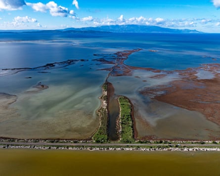 A river delta with green areas, sand and water, and mountains in the background