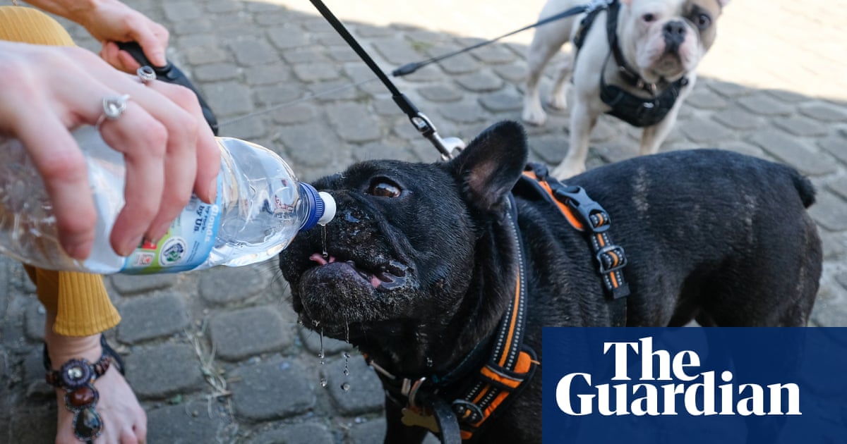 UK weather: late August bank holiday weekend is hottest on record