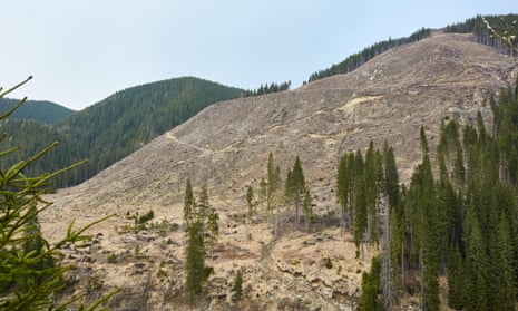 A deforested hillside.