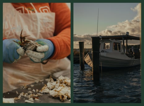 A worker scrapes the meat out from a crab on Hoopers Island, Maryland. Boats and crab houses are visible across the landscape on Hoopers Island, Maryland.